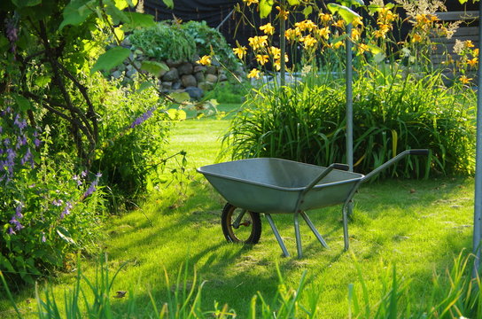 On a Sunny day, a garden wheelbarrow stands on a green lawn in the garden.