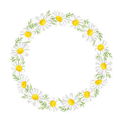 Obraz premium Daisy wreath with leaves and flowers. Chamomile isolated on white. Vector illustration in simple cartoon flat style. 