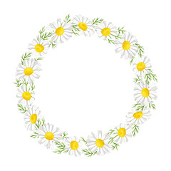 Daisy wreath with leaves and flowers. Chamomile isolated on white. Vector illustration in simple cartoon flat style. 