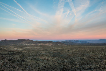 Landscape view of Joshua Tree National Park in California.