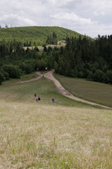 Na górskim szlaku © amadeusz