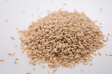 Oat Grains. Pile of grains, isolated white background