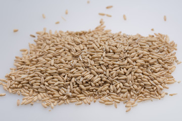 Oat Grains. Pile of grains, isolated white background
