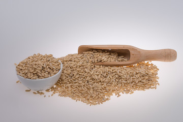 Oat Grains. Pile of grains, isolated white background