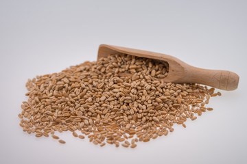 Oat Grains. Pile of grains, isolated white background