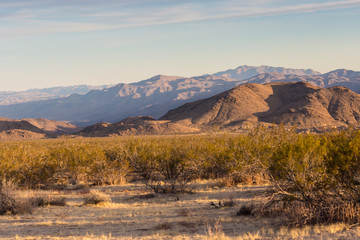 Landscape view of Joshua Tree National Park in California.