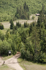 Na górskim szlaku © amadeusz