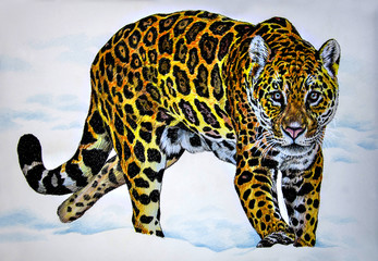 Leopard on white snow