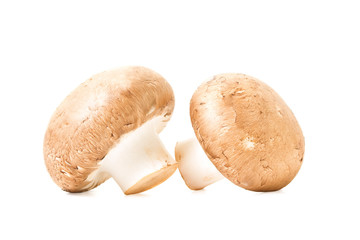 Mushrooms isolated on white background champignons.