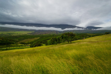 Fototapeta na wymiar Road to Hana landscape in Maui, Hawaii