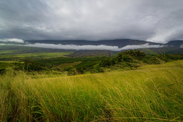 Road to Hana landscape in Maui, Hawaii