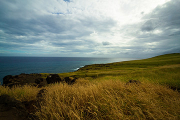 Road to Hana landscape in Maui, Hawaii