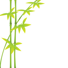 Green bamboo stalks and leaves on a white background with copy space. Vector illustration.