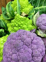 Modified purple cauliflower and romanescu