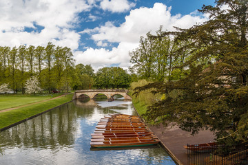 Rzeka Cam w Cambridge, Wielka Brytania