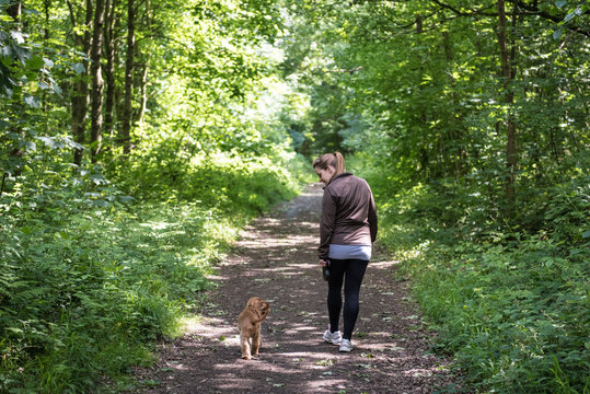 4 Month Old Cocker Spaniel Walking in the Woods