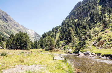Fototapeta na wymiar River in the Pyrenees in the Benasque valley in Spain on a sunny day.