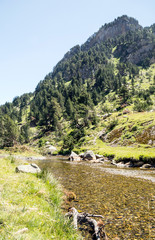 River in the Pyrenees in the Benasque valley in Spain on a sunny day.