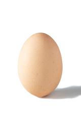 Egg isolated on white background