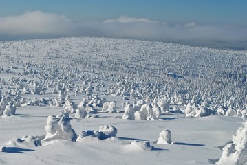 Zima w Karkonoszach © bnorbert3