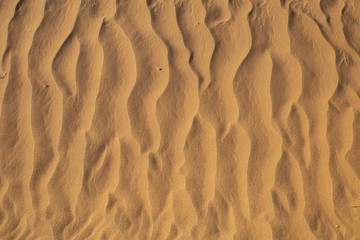 ondas en la arena del desierto