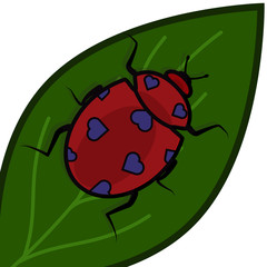 ladybug with hearts instead of spots on a green leaf for Valentine s Day