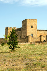 Fototapeta na wymiar Castle of Pedraza in Spain