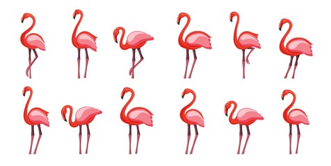 Naklejka premium Pink flamingo set, vector illustration Isolated on white background