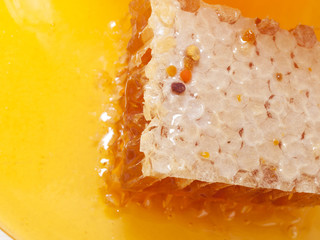 fresh Honeycomb and honey around. close up