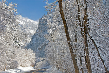 American Fork Canyon, Utah