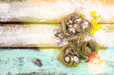 Easter decoration eggs pansy flowers Vintage toned