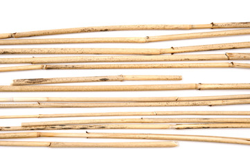Dried reeds isolated on a white background.