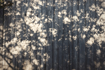 Wooden old fence with shadows of leaves and branches. Rustic plank fence in sunny light. Countryside living. Space for text