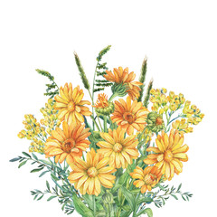 Summer bouquet of calendula, herbs and immortelle flowers.  Watercolor hand drawn painting illustration isolated on a white background.
