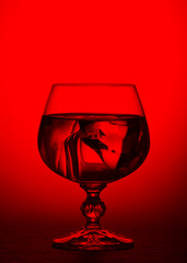 A glass of brandy on a red background