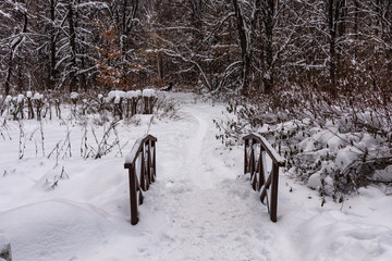 bridge over the stream, covered with snow, in the winter park