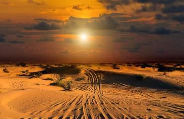 Gordijnen Sahara weg Woestijn Safari © Emoji Smileys People