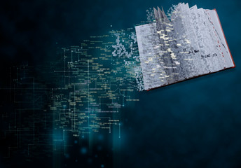 Book, papers and documents in the  computer and on the www.