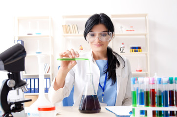 Fototapeta premium Female chemist working at the lab 