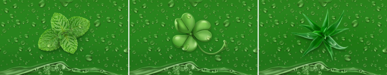 Green Drops. Mint, clover, aloe. 3d realistic vector © Natis