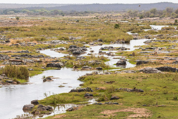 View on river in Kruger Park, South Africa