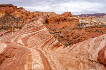A view of the Fire Wave