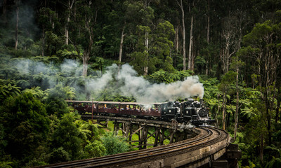 Puffing Billy train