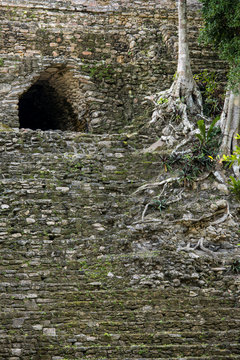 Detail of the overgrown Mayan pyramid of Dzibanche