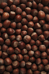 Hazelnut. Fresh organic filbert. Nuts macro background.