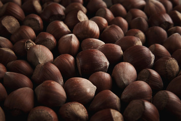 Fresh organic filbert. Hazelnuts background and texture.