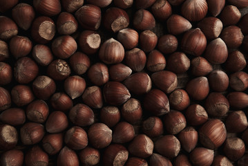 Hazelnut. Fresh organic filbert. Nuts macro background.