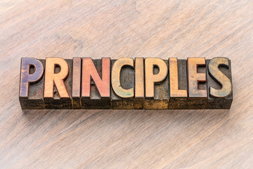 principles word in wood type
