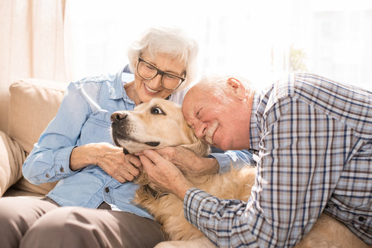 Portrait of happy senior couple cuddling with dog sitting on couch enjoying family weekend at home in retirement