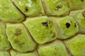 Exotic Brazilian fruit as known as 